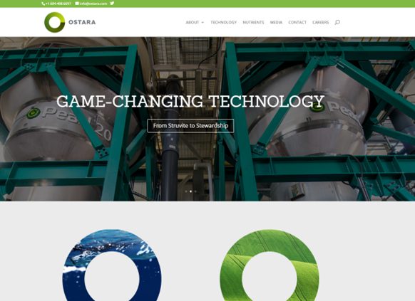 Ostara website design prior to working with Pace Creative